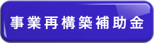 事業再構築補助金